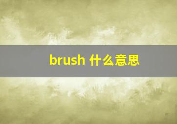 brush 什么意思